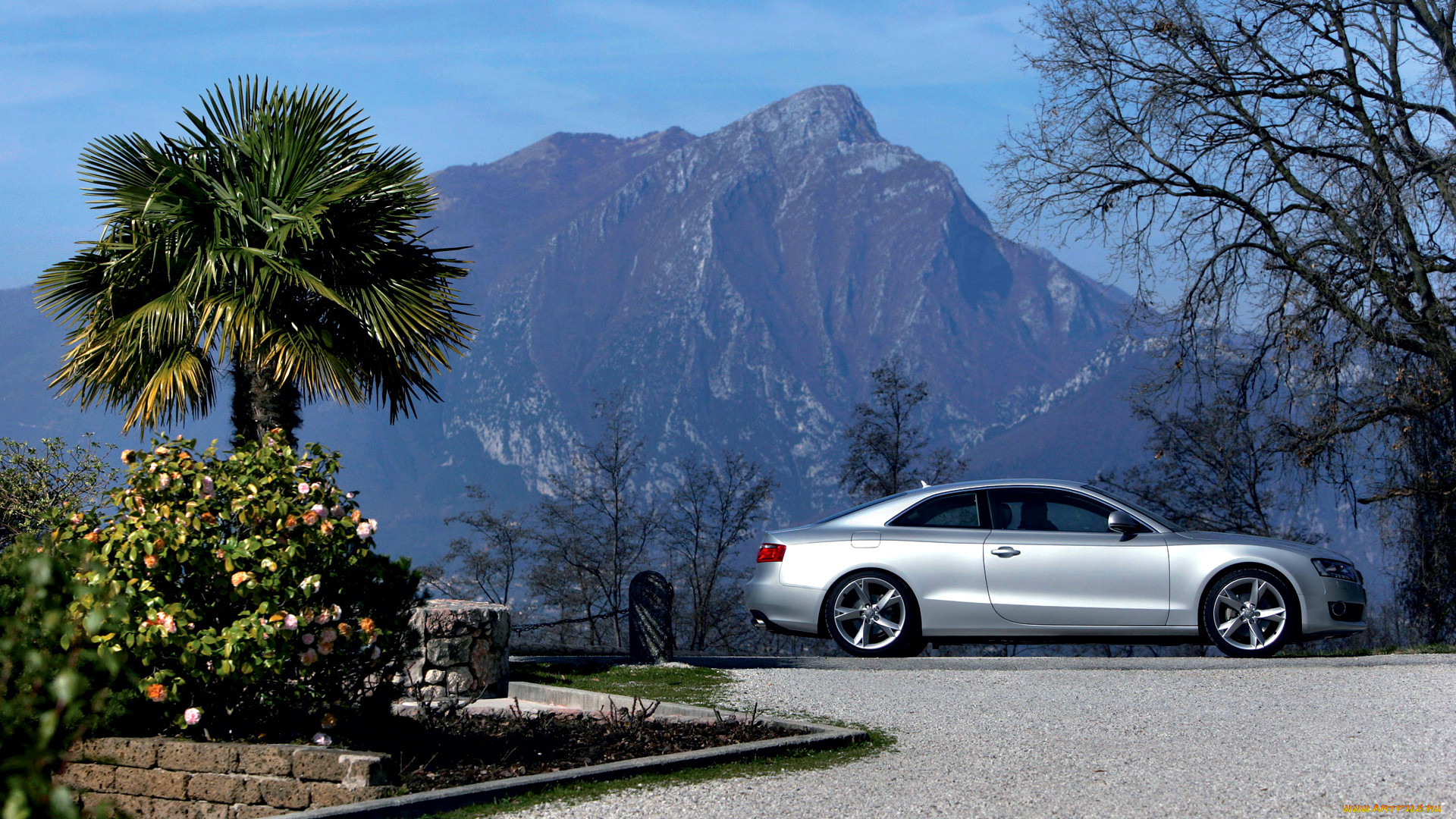 audi, s5, , ag, , , , volkswagen, group